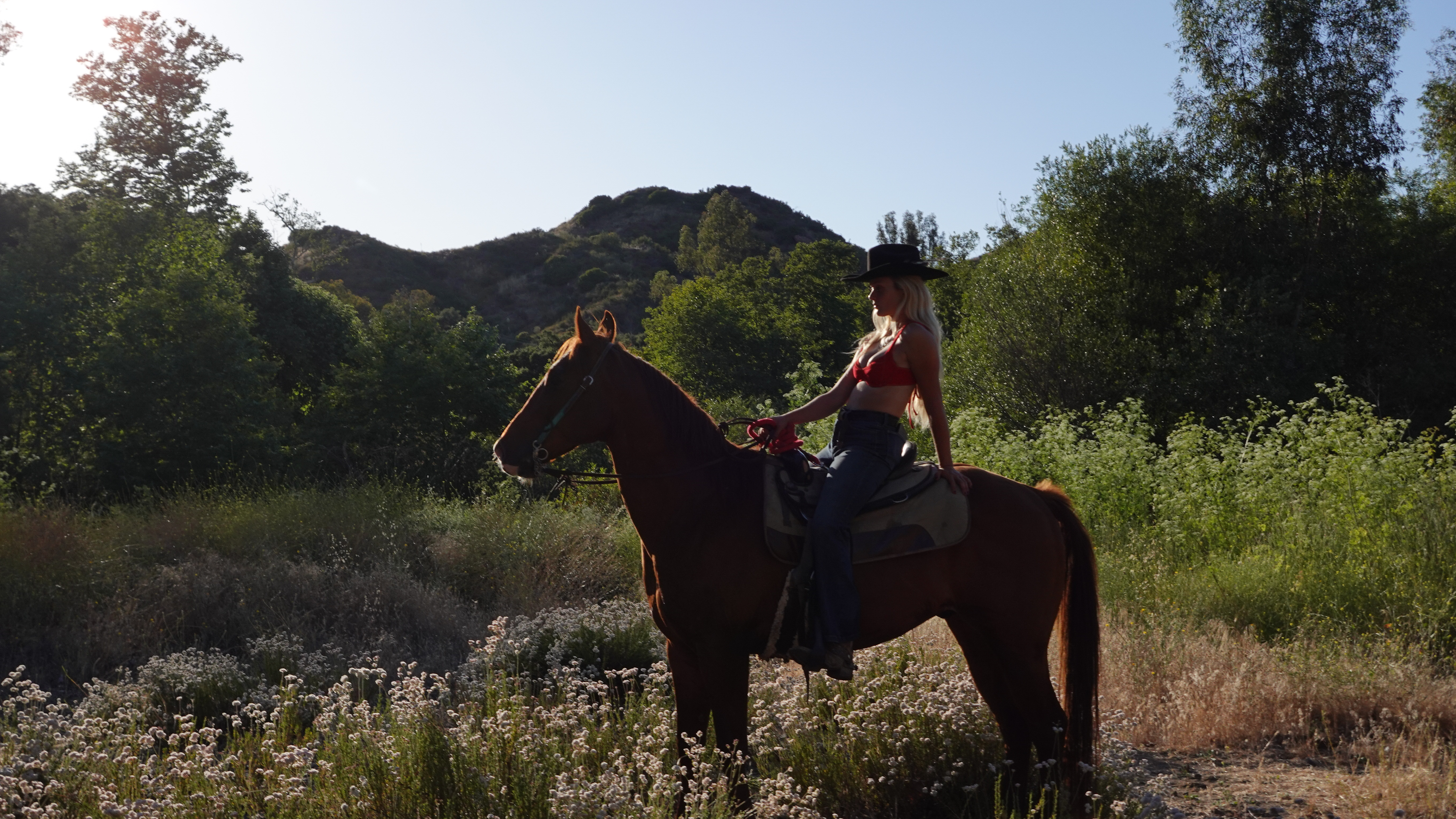 Photography and editorial shoots featuring horses